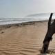 Illustration for article titled We Took A Beat Up Suzuki 500 KMS To Visit A Beach